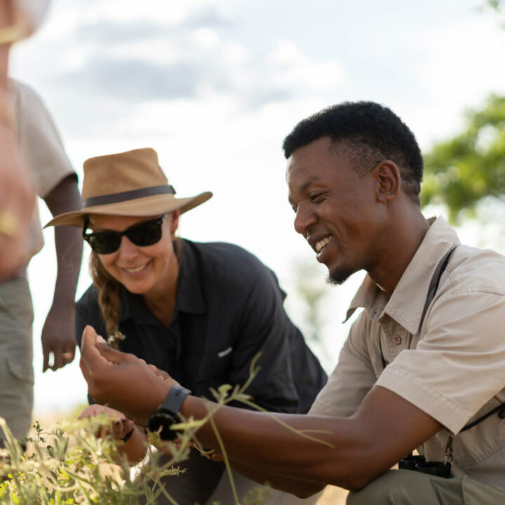 A private guide points out wildlife to guests on a game drive, Singita, on a privately guided safari.