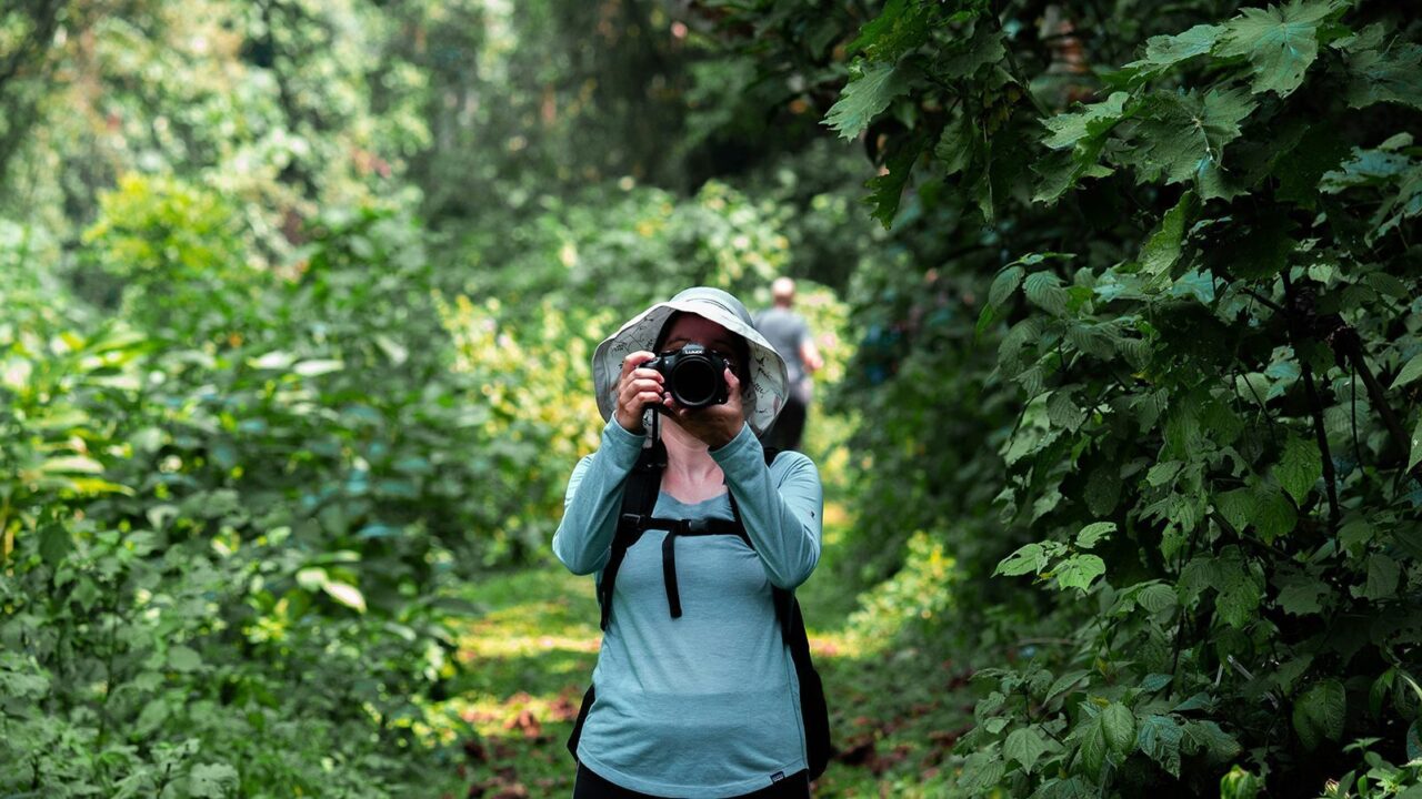 A visitor photographs wildlife in dense forest on a Uganda gorilla trekking safari.