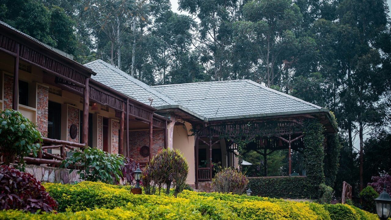 A thatched lodge sits amid tropical gardens, Uganda, a moment from a luxury safari holiday.
