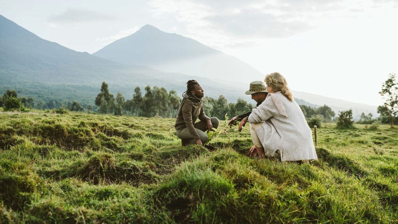 A guide crouches with a guest in a grassy clearing before setting off on a gorilla trek, Volcanoes National Park, Rwanda.
