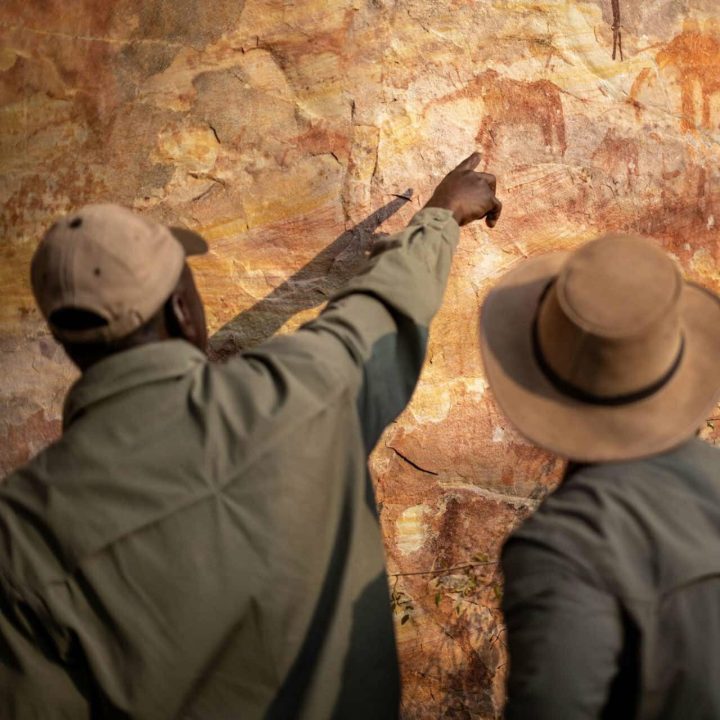 Guides looking at cave paintings.