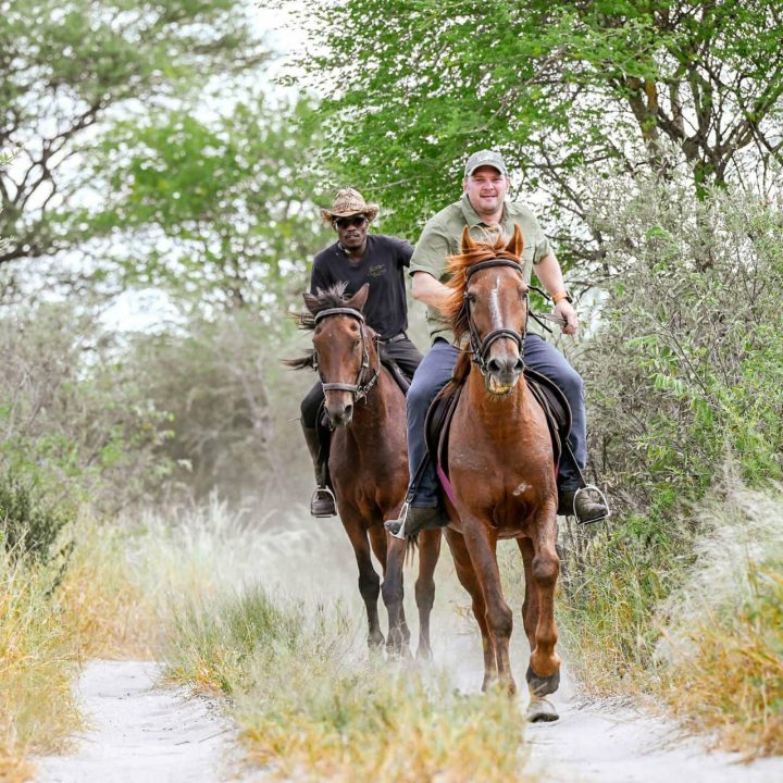 Two men on horses riding a trail.