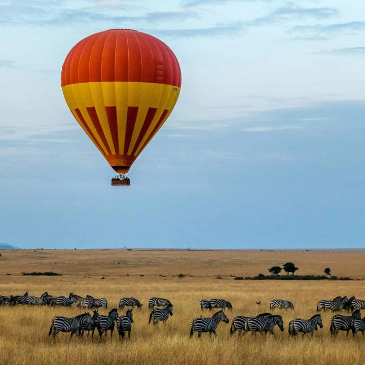 A hot-air balloon in the sky above zebra.