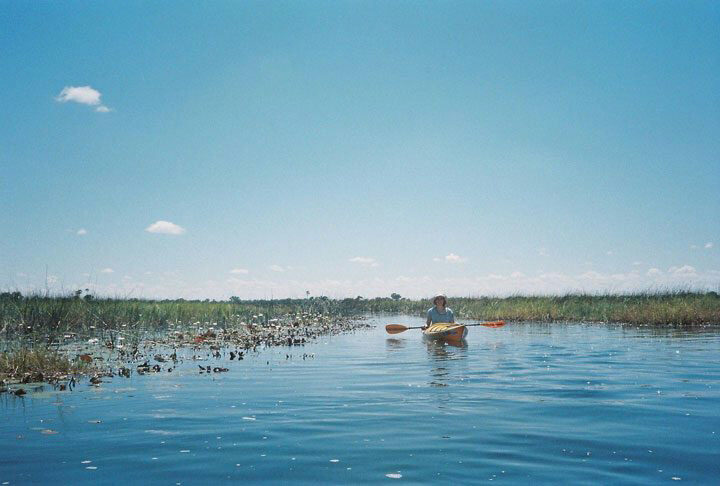 Kayaking in the Okavango Delta.