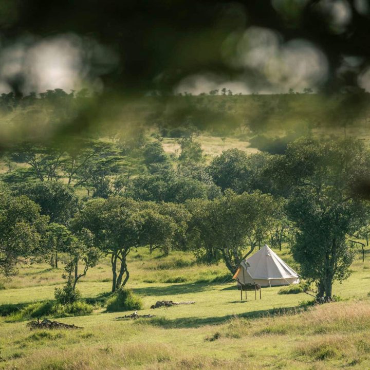 A camp among the greenery.