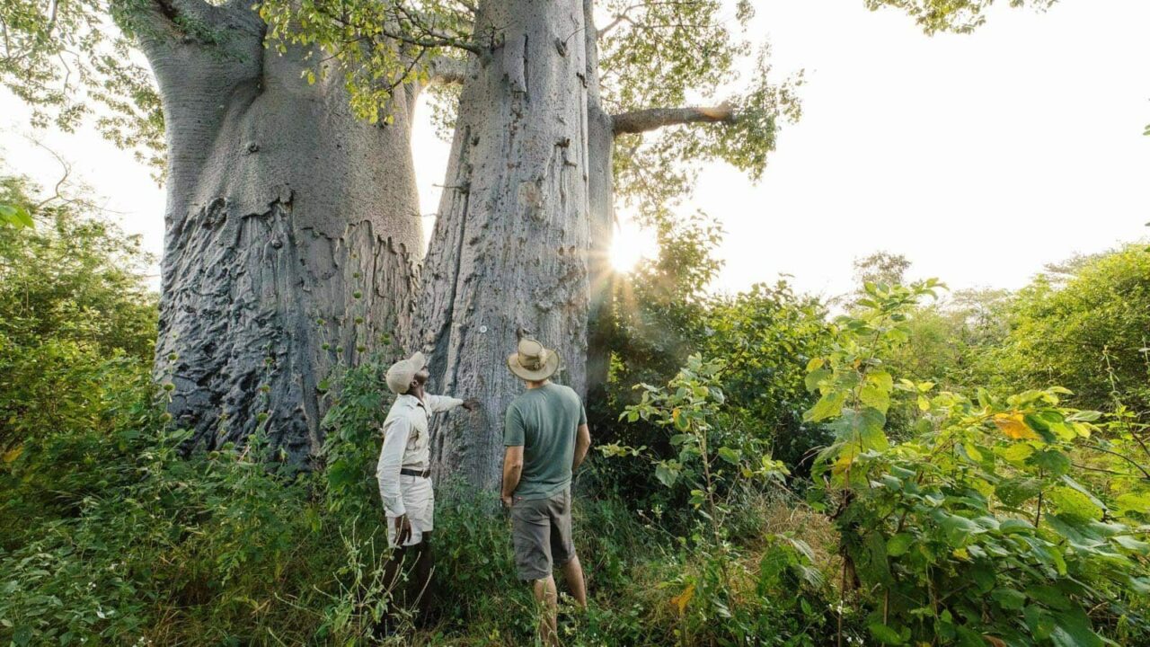 Private Guide - Victoria Falls, Zimbabwe