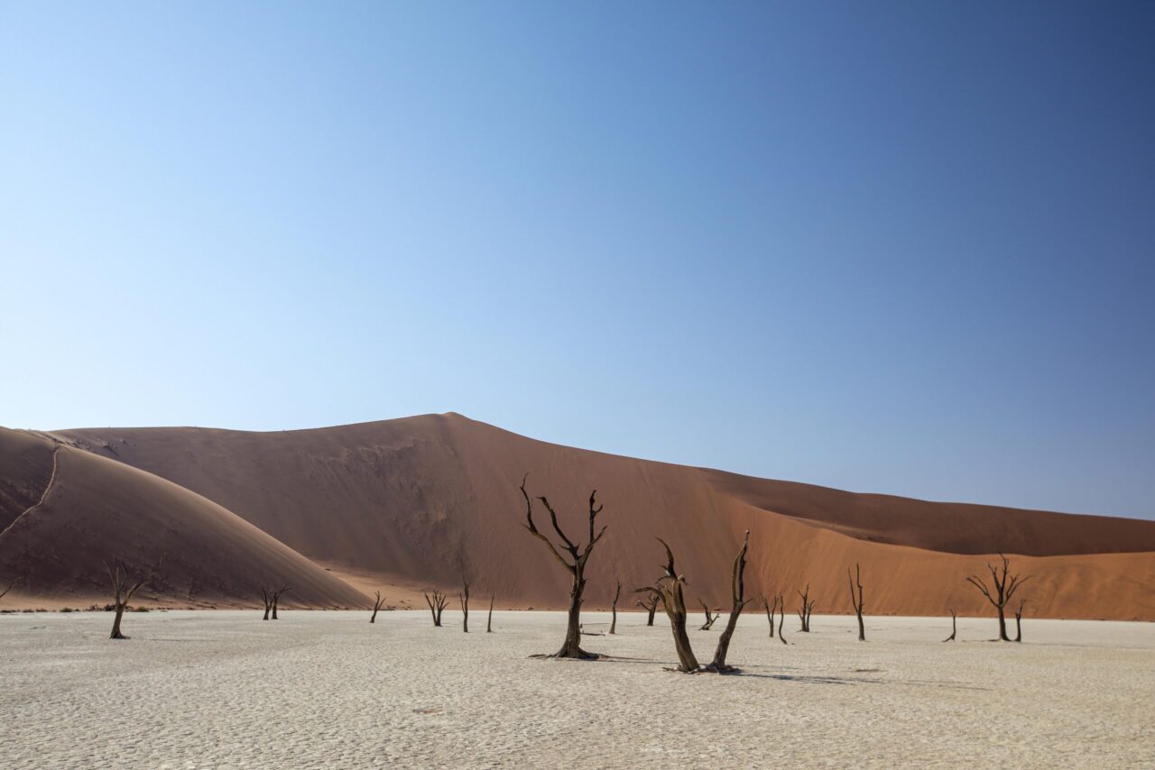Dead camel-thorn trees stand against orange dunes at Deadvlei, near Kwessi Dunes, Namibia, a favourite stop on luxury safari holidays.