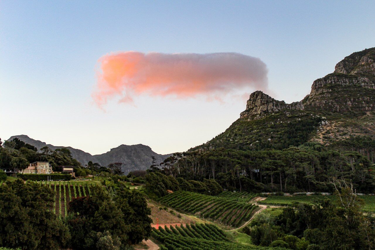Cape Town & Cape Winelands - Top Safari Experiences