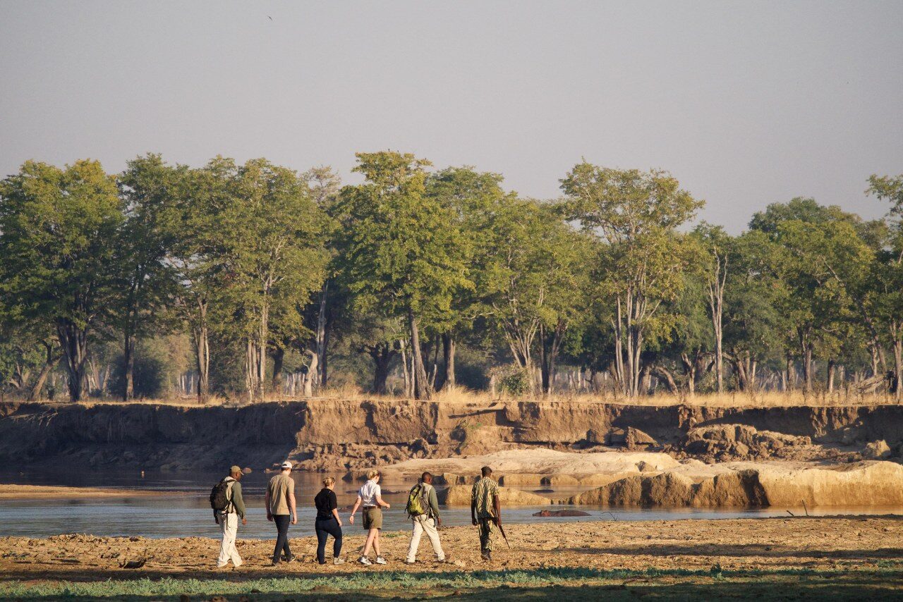 Zambia Walking Safari - Top Safari Experiences