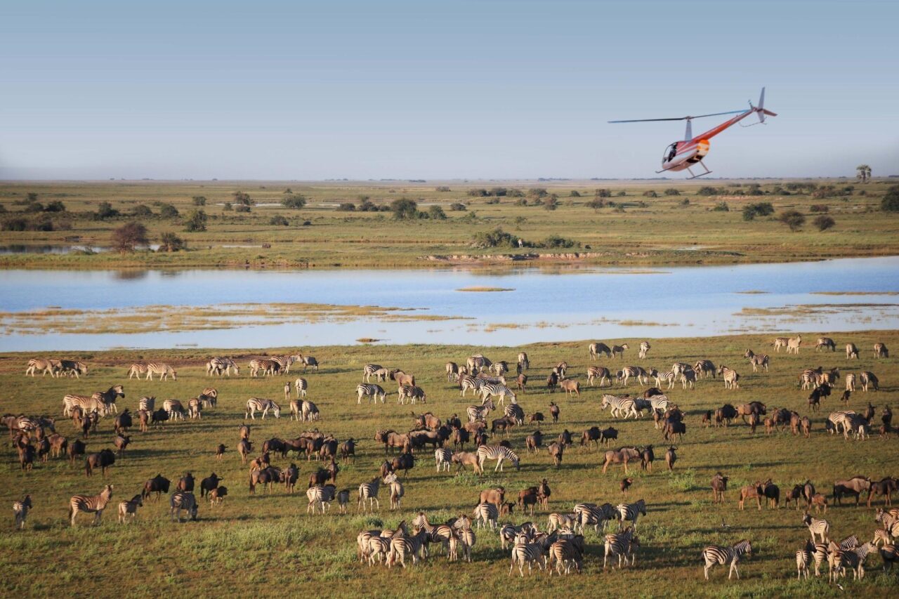 Aerial view of a helicopter overlooking the green plains with animals like zebra and wildebeest by a water source.